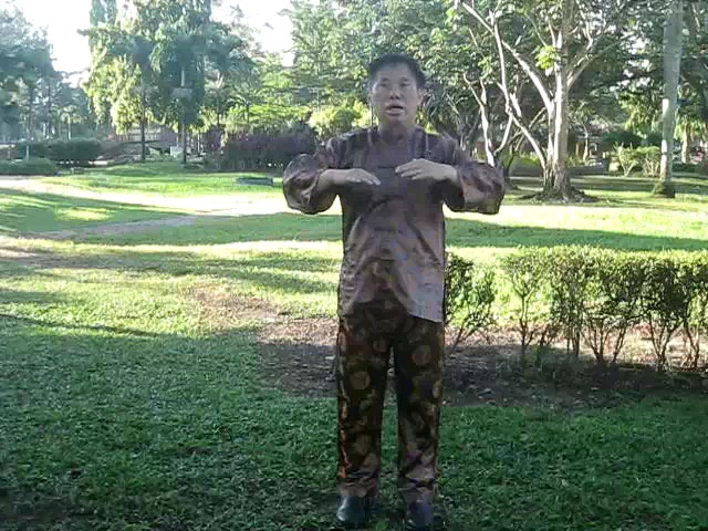 Sun Style Taijiquan